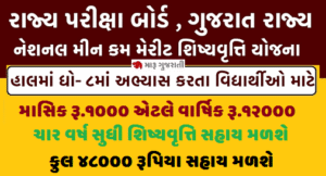 NMMS પરીક્ષા જાહેરનામું 2025 ઓનલાઈન અરજી કરો sebexam.org