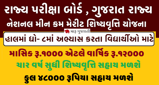 NMMS પરીક્ષા જાહેરનામું 2025 ઓનલાઈન અરજી કરો sebexam.org