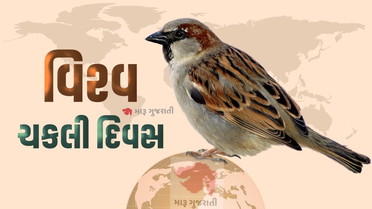 વિશ્વ ચકલી દિવસ ઇતિહાસ, મહત્વ World Sparrow Day 2026